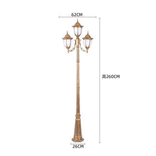 Lamp Post Lights Outdoor,Led Lawn Lamp Outdoor High Pole Lamp Community Path Light Garden Landscape Lamp Lighting European Victorian Victorian Style Villa 2.6 Meters Courtyard Street Lamp