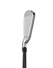 Callaway Great Big Bertha Individual Iron Silver