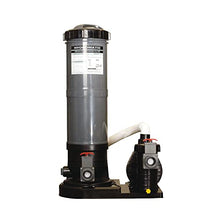 Blue Wave Cartridge Filter System with 1.5 HP Pump Dk. Gray