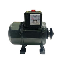 OLONETO 3500W Small Pulley Permanent Magnet Generator with Regulator 220V High Power Brushless Generator for Lighting TV