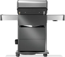 Napoleon Rogue PRO-S 425 3-Burner Propane Grill - Rear & Side Burner