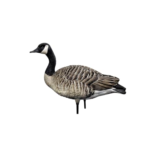 Avian-X AXP Honkers Fusion Pack Full Body Canada Goose Decoys Multicolor