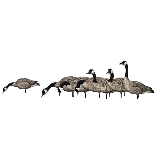 Avian-X AXP Honkers Goose Decoy Feeder with Full Body Canada Goose Decoys Multicolor