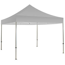 BANNER BUZZ Make IT Visible Blank Canopy Tent (Frame (No Topper), 20' x 10')