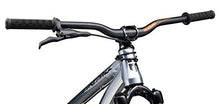 Mongoose Fireball Dirt Jump Mountain Bike 26-Inch Chrome