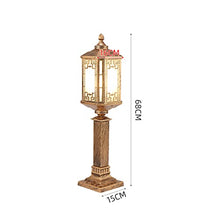 PAOOPA Lawn Light, Outdoor Garden Ornament Pathway Lighting Lamp, Garden Light Waterproof Path Light, Decoration Light for Patio Driveway Landscape Lawn Yard,C