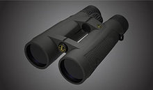 Leupold BX-5 Santiam HD Binoculars 15x56mm Shadow Gray