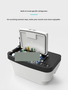 AWMGPDDBTO Mini Fridge Tesla Car Refrigerator