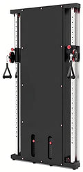 French Fitness Wall Mounted Dual Cable Column Component