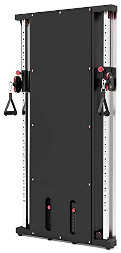 French Fitness Wall Mounted Dual Cable Column Component