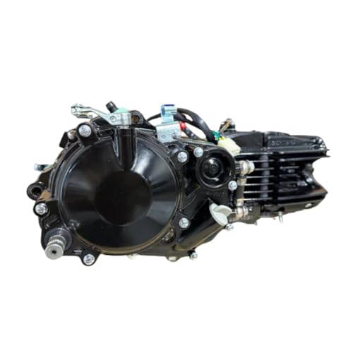 DAYTONA Anima 190cc Engine Model (FS5) - Black