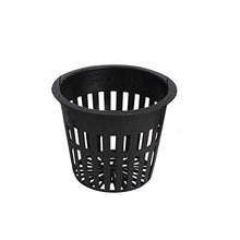 CLONE KING 2 Inch Net Slit Pots for Hydroponic Aeroponic Aquaponic Use Wide Lip (10000)