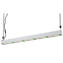 Westinghouse Lighting 6366000 SunStream 250-Watt (400-Watt HID Equivalent) Full Spectrum Indoor Horticulture LED Grow Light for Plants