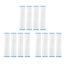 Doheny's Pool Spa Filter/Replacement Filters for Waterway Clearwater II, Pro-Clean 150 - 12-Pack