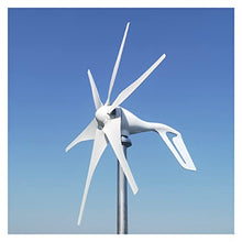 Wind Turbine Generator 1000W 6 Blades New Energy Horizontal Wind Turbine Generator MPPT Controller 12v 24v Homeuse Low Noise Small Windmill - Onshore Wind(Hybrid Controller,24V_3)