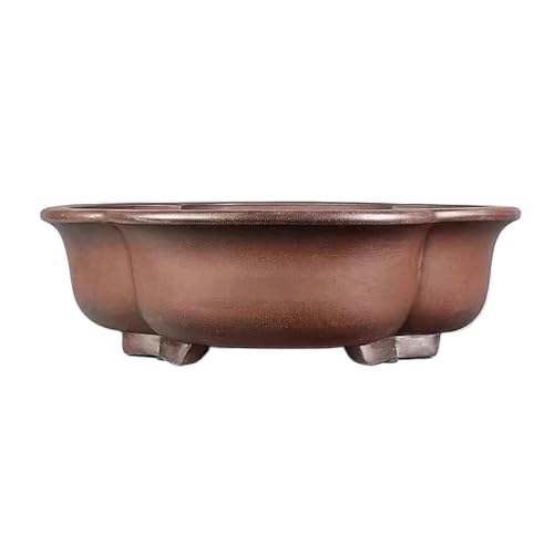 thalo Planter Pots Plant Pots Purple Clay Bonsai Pots 26in Handmade Melon Shaped Pots Green Plants Flowers Purple Clay Pots Plant Container Accessories
