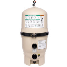 Pentair FNS Plus 48 Sq. Ft. DE Pool Filter (EC-180008)