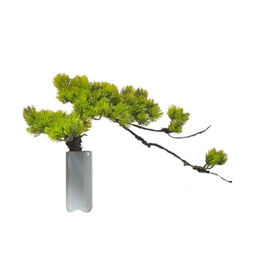 QWERAXZG Simulation Welcome Pine Bonsai Small Decoration Zen Office Desktop Green Plant