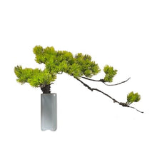 QWERAXZG Simulation Welcome Pine Bonsai Small Decoration Zen Office Desktop Green Plant
