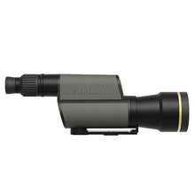 Leupold GR 20-60x80mm Gold Ring Spotting Scope Impact Reticle (120377)