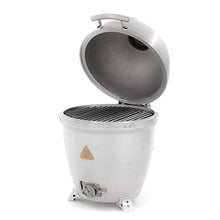 Blaze Outdoor Products 20-Inch Cast Aluminum Kamado Grill Silver