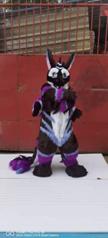 FurryMascot Black Dragon Plantigrade Fursuit Fullsuit Teen Costume