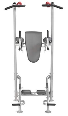 HOIST Fitness Dip Station & Pull Up Bar Platinum