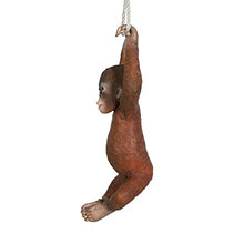 Design Toscano Pongo, the Hanging Baby Orangutan Statue