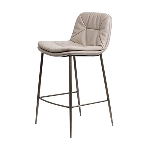 HASMI Bar Stools Bar Chair Modern Metal High Stool Home Double Cushion Back Chair Dining Room Kitchen Bar Chairs Bar Chairs (Size : B)
