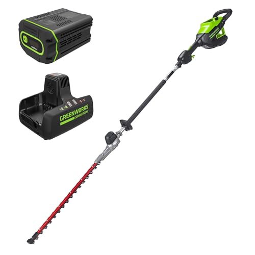 Greenworks 82V 24 in Cordless Pole Hedge Trimmer, 2.5 Ah Battery, Charger