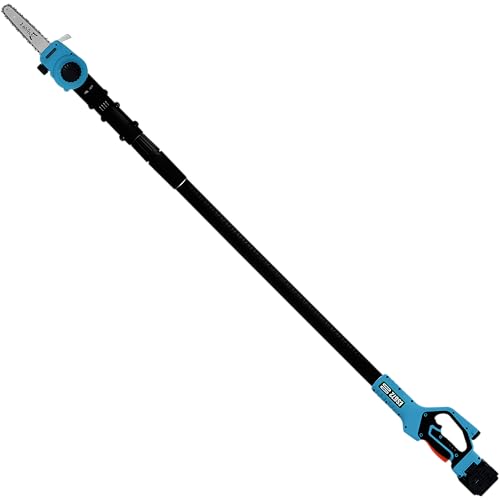 Zenport ES672 Cordless, Battery-powered, Telescopic Pole Chain Saw, 2.5 Meter (8.2 Feet) Max Length