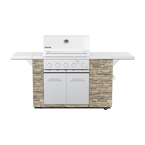 SPIRE 5 Burner Gas Grill Island Head, Stainless Steel 30" Built-In Grill