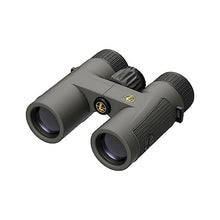 Leupold BX-4 Pro Guide HD Binocular 8x32mm Gray