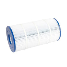 FHOARHPXZ PA100S Pool Filter for C100S, CX100XRE, PA100S Filter Cartridge