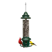 Brome,Squirrel Buster Plus 6"x6"x28" (w/Hanger) Wild Bird Feeder with Cardinal Ring and 6 Feeding Ports, 5.1lb Seed Capacity, 2 Pack