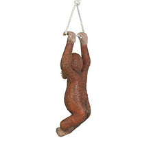 Design Toscano Pongo, the Hanging Baby Orangutan Statue
