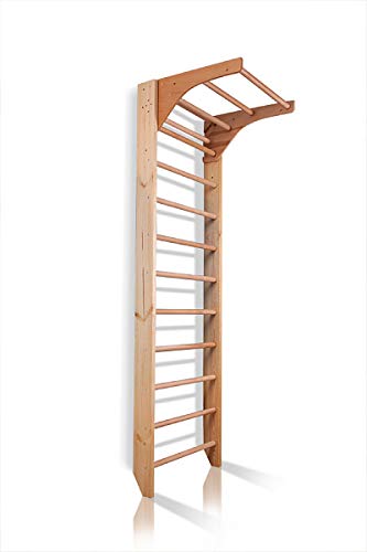 CleverWood Swedish Ladder Stall Bars Set for Physical Therapy & Gymnastics
