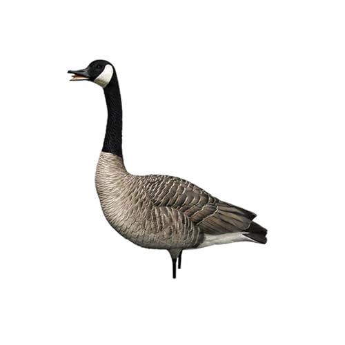 Avian-X AXP Honkers Fusion Pack Full Body Canada Goose Decoys Silver