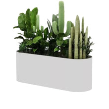 Outdoor Outdoor Planter Box Planting Trough Decor Flower Pot Flower Box