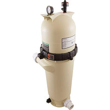 Pentair Clean & Clear RP Cartridge Pool Filter Almond