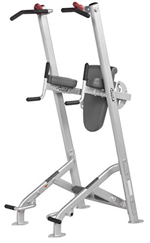 HOIST Fitness Dip Station & Pull Up Bar Platinum
