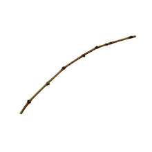 Misson Grape Vine Cutting Merlot Clone 1 (1000)