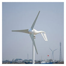 Wind Generator Windmill Generator for Hybrid Solar Wind Power Generation System Combine with Hybrid Charge Controller for Marine, RV, Home, Windmill Generator Suit (Free Controller 6 blades)