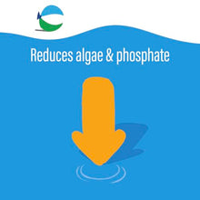 poolife AlgaePhos Algaecide (1 qt) (12)