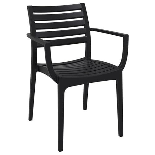 Compamia Artemis Outdoor Patio Dining Arm Chair in Black (Set of 2)
