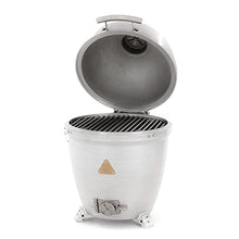 Blaze Outdoor Products 20-Inch Cast Aluminum Kamado Grill Silver