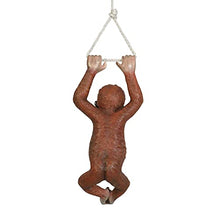 Design Toscano Pongo, the Hanging Baby Orangutan Statue