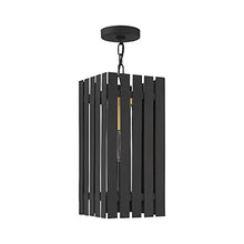 Livex 1 Light Satin Brass Outdoor Pendant Lantern Brass