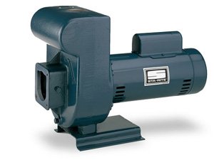 Pentair DHJ3-170 3-Phase High Head D-Series Self-Priming Centrifugal Commercial Pool Pump, 230/460-Volt, 5 HP