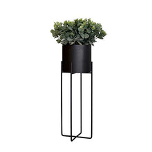 KAJIAO Indoor Plant Stand|Living Room Metal Display Shelf| Iron Art Garden Herb Bonsai Shelves|Outdoor Balcony Decoration Flower Rack - Set of 3
